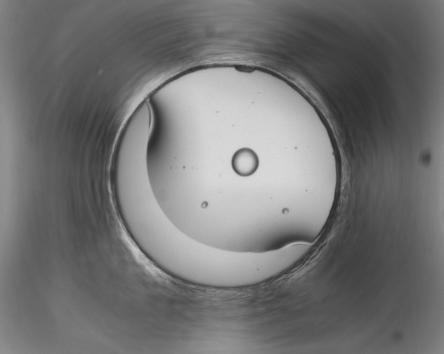 X0000115300909200911301511