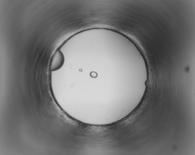 X0000115300910200911301511