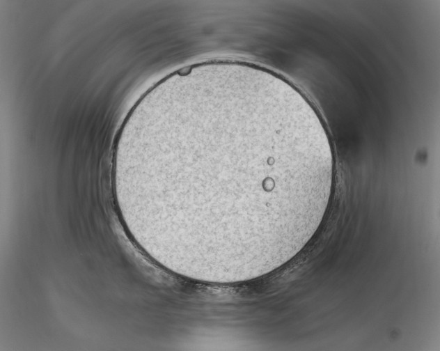 X0000115300911200911301511