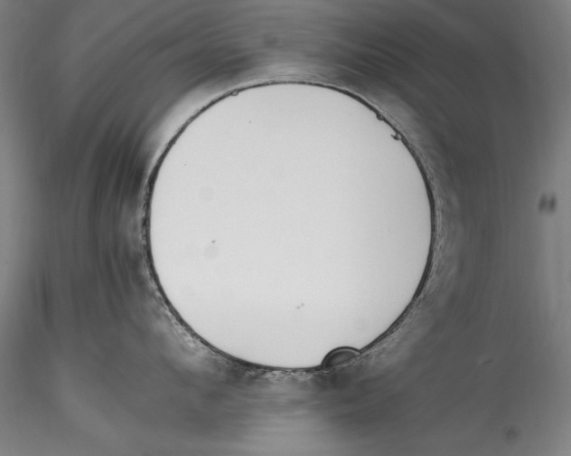 X0000115300912200911301511