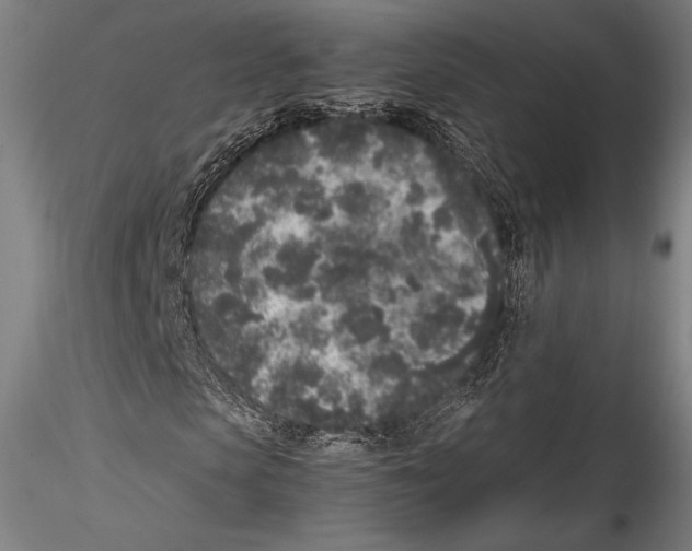 X0000115300913200911301510