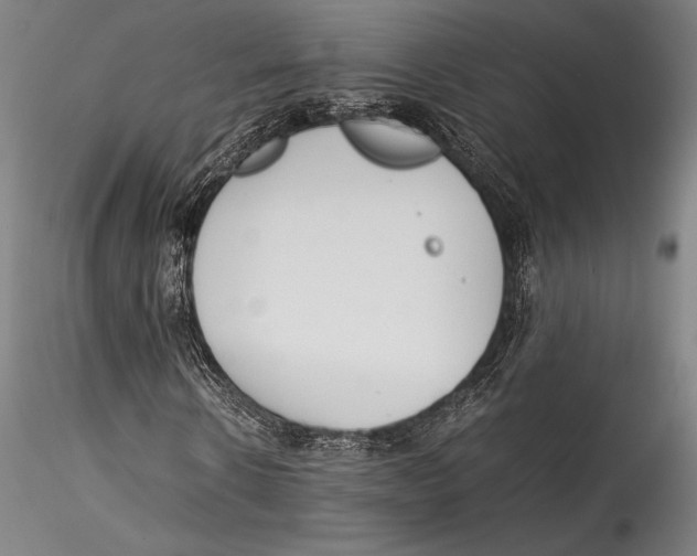 X0000115300914200911301510