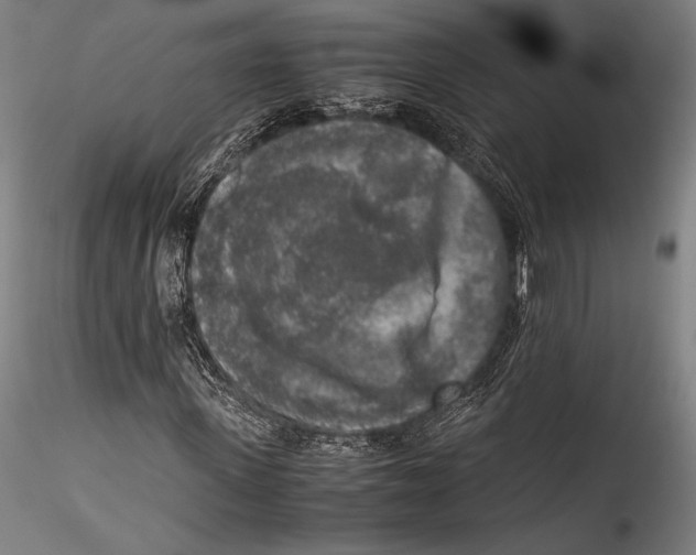 X0000115300915200911301510