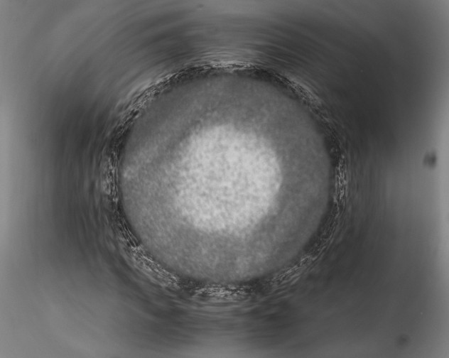 X0000115300917200911301510