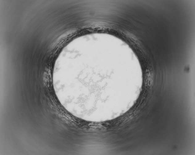 X0000115300918200911301510