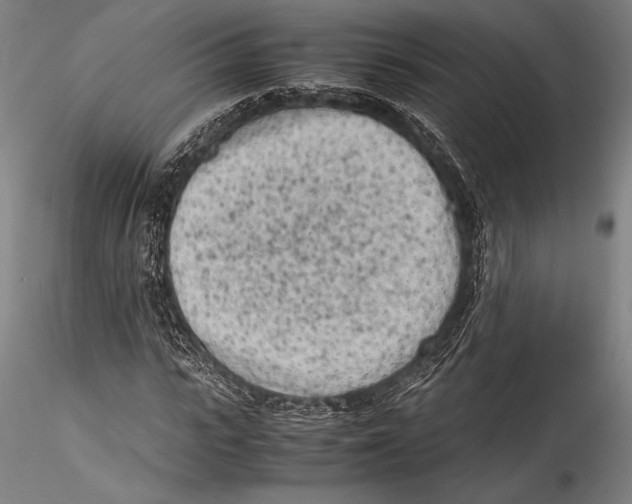 X0000115300919200911301510