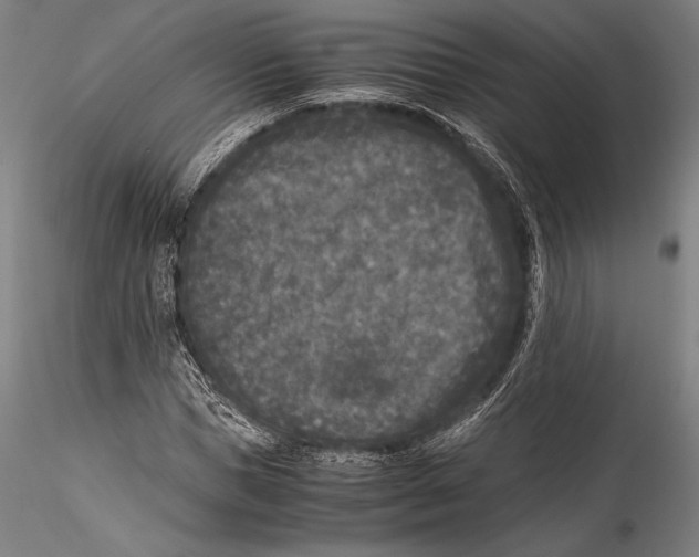 X0000115300921200911301510