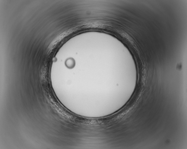 X0000115300922200911301510