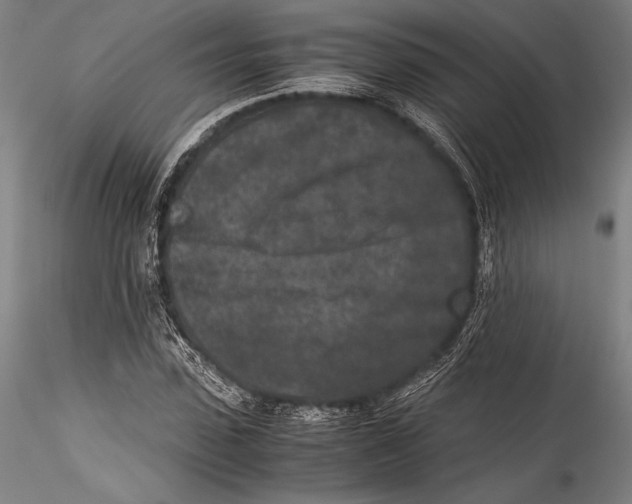 X0000115300923200911301510