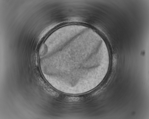 X0000115300925200911301510