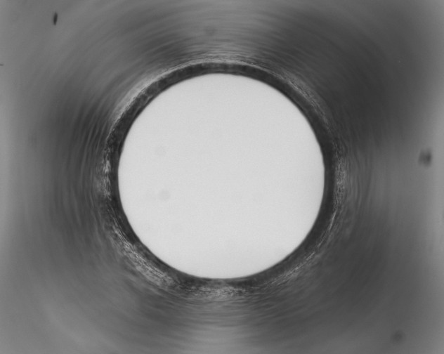 X0000115300926200911301510