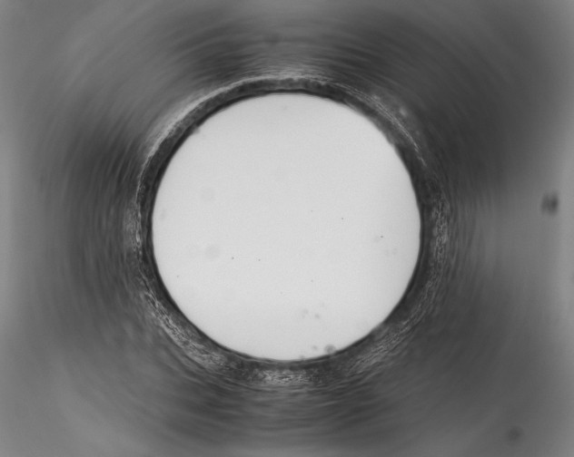 X0000115300927200911301510