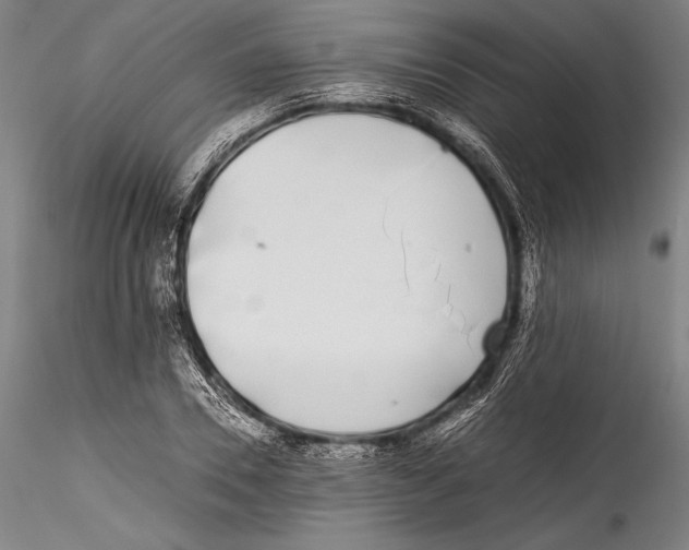 X0000115300930200911301510