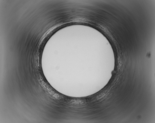 X0000115300931200911301510