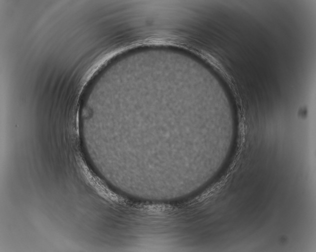 X0000115300934200911301510