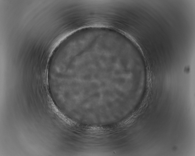 X0000115300935200911301510