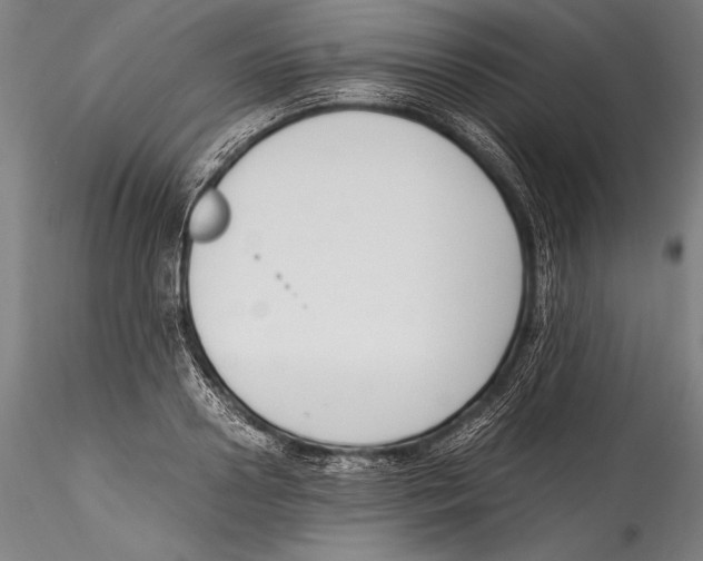 X0000115300938200911301510