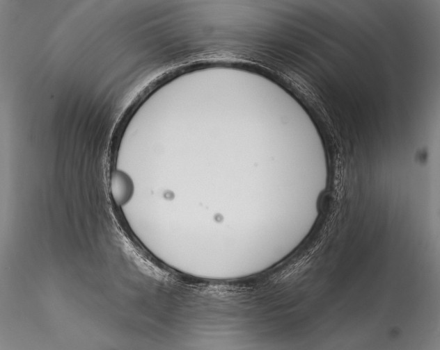 X0000115300942200911301510