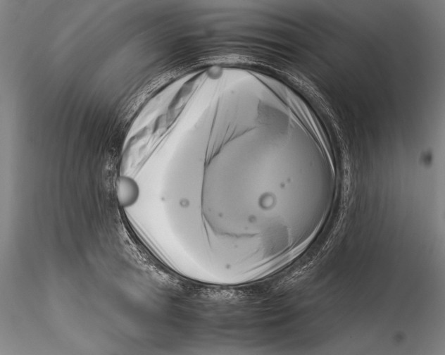 X0000115300945200911301510