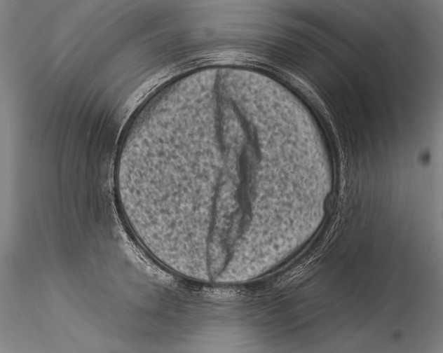 X0000115300946200911301510