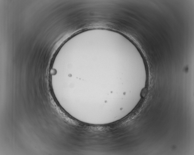 X0000115300949200911301510