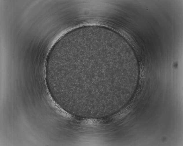 X0000115300950200911301510