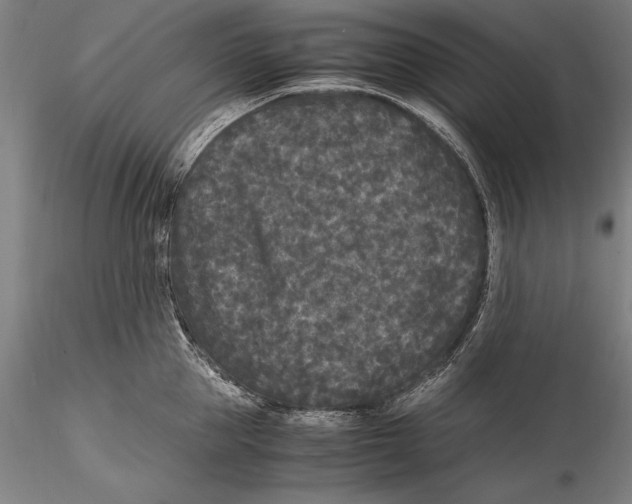 X0000115300953200911301511