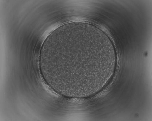 X0000115300954200911301511