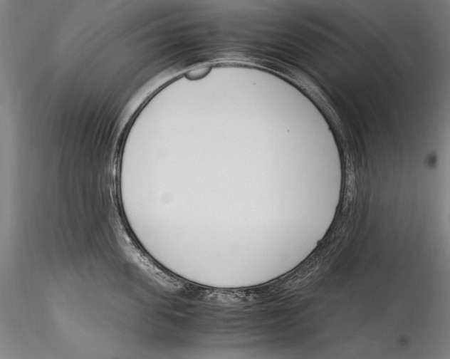 X0000115300955200911301511