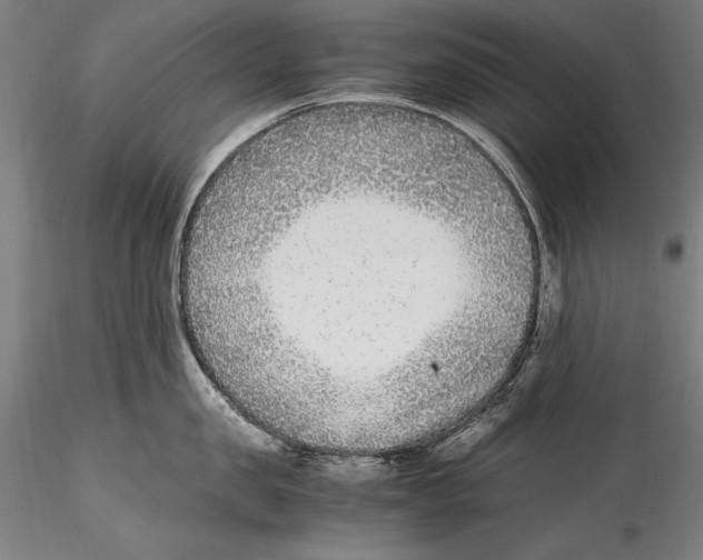 X0000115300957200911301511