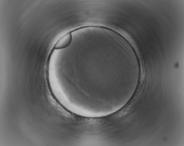 X0000115300958200911301511