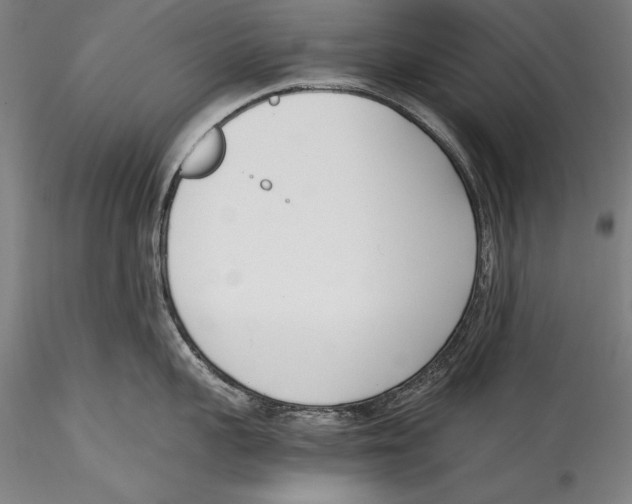 X0000115300959200911301511