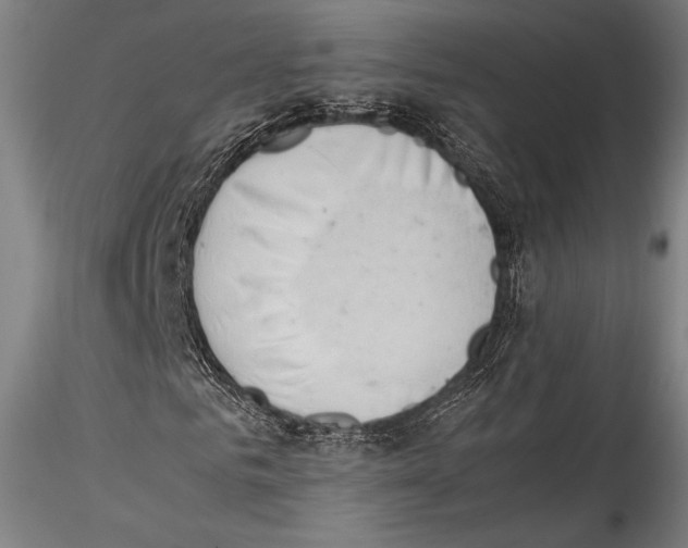 X0000115300961200911301510