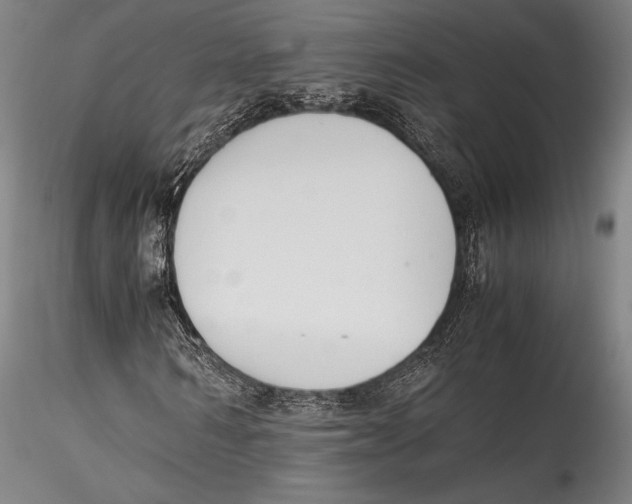 X0000115300962200911301510