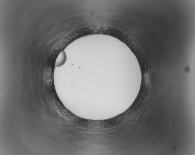 X0000115300963200911301510