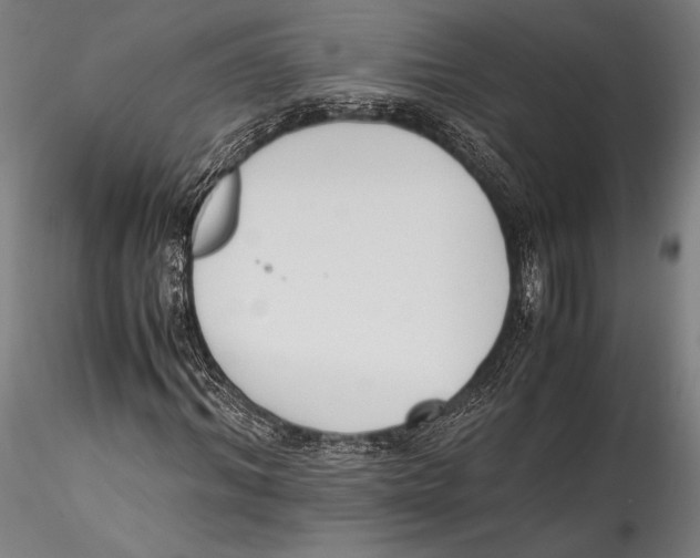 X0000115300964200911301510