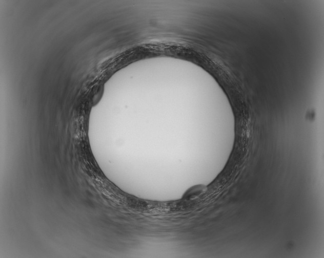 X0000115300965200911301510