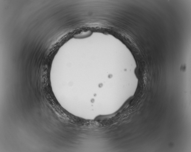 X0000115300968200911301510