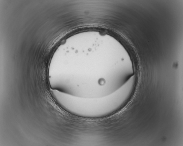 X0000115300969200911301510