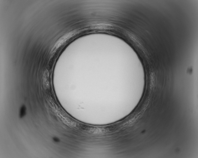 X0000115300970200911301510