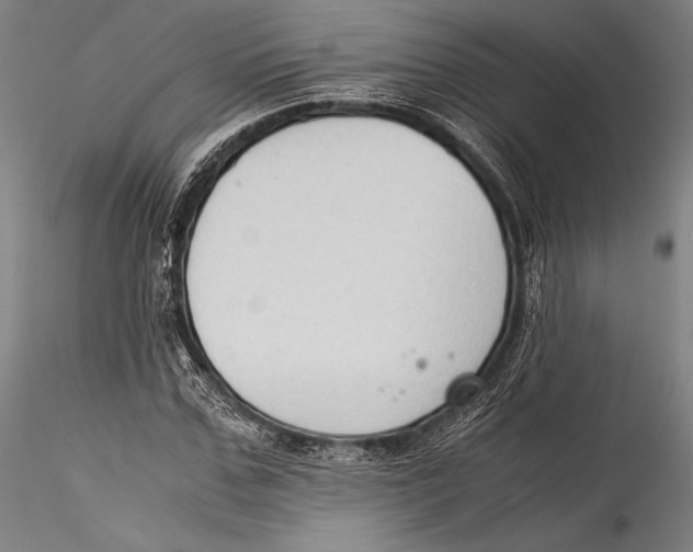 X0000115300971200911301510