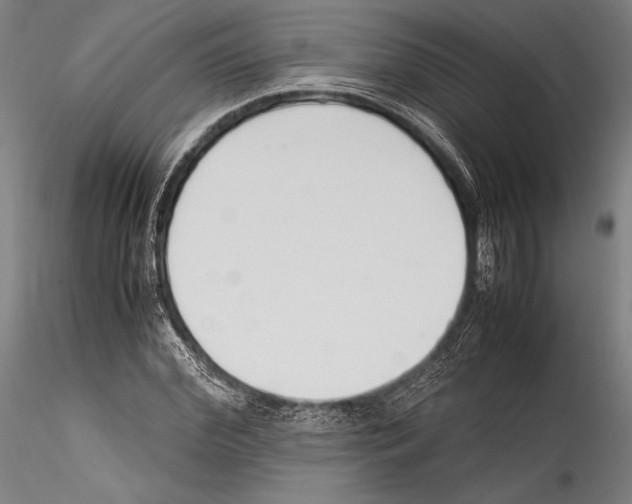 X0000115300972200911301510