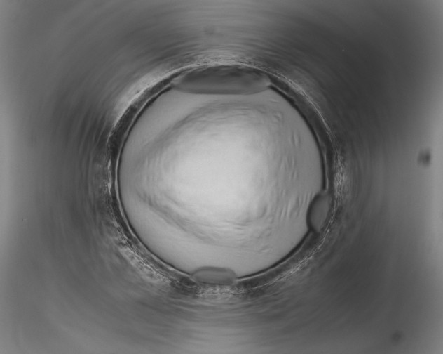 X0000115300973200911301510