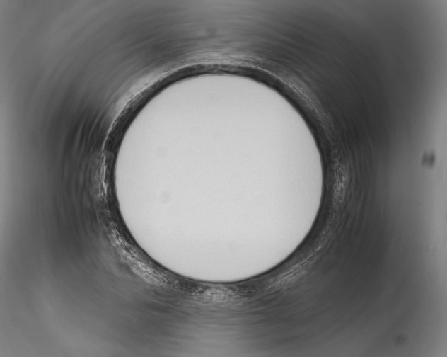 X0000115300974200911301510