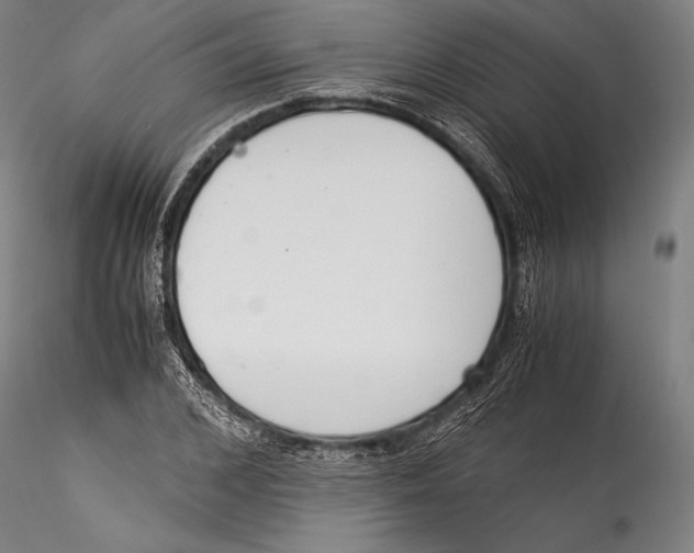 X0000115300976200911301510