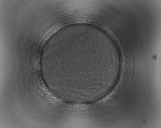 X0000115300977200911301510