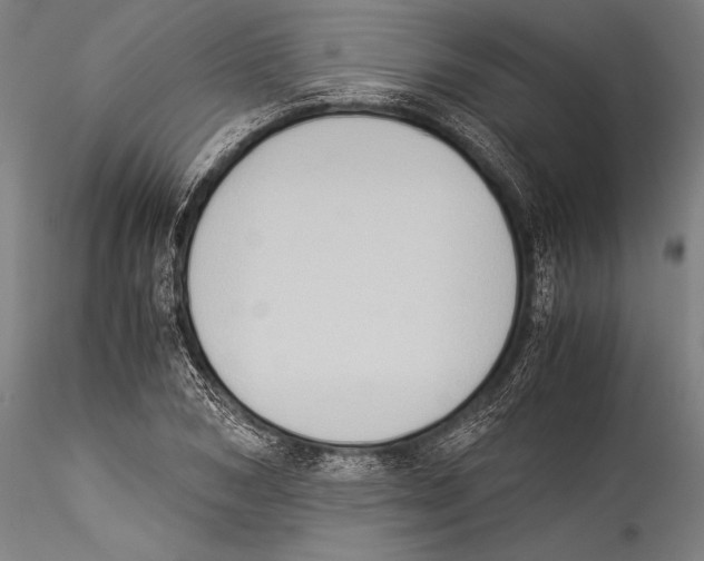 X0000115300978200911301510