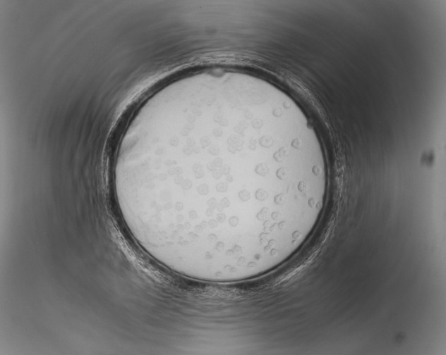 X0000115300981200911301510