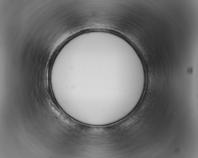 X0000115300982200911301510