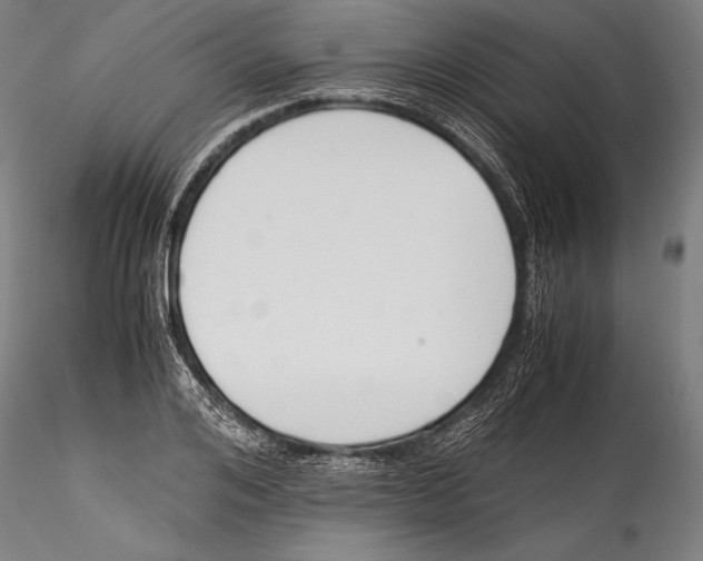 X0000115300984200911301509